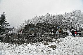 Snow In Winter In Tennessee