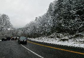 Snow In Winter In Tennessee