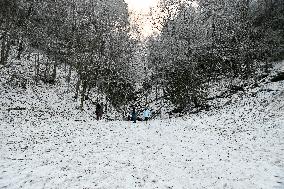 Snow In Winter In Tennessee