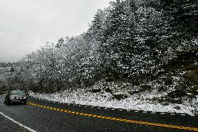 Snow In Winter In Tennessee