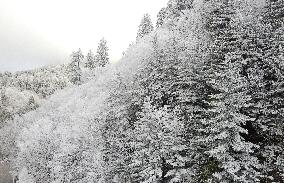 Snow In Winter In Tennessee