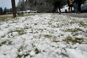 Snow In Winter In Tennessee