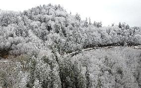 Snow In Winter In Tennessee