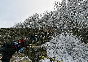 Snow In Winter In Tennessee