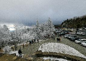 Snow In Winter In Tennessee