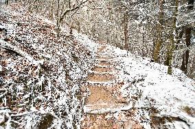 Snow In Winter In Tennessee