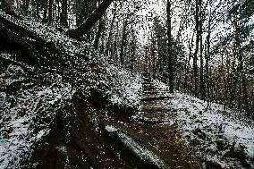 Snow In Winter In Tennessee