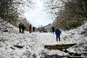 Snow In Winter In Tennessee