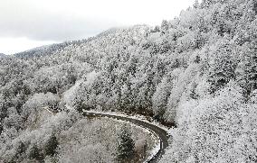 Snow In Winter In Tennessee