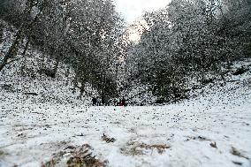 Snow In Winter In Tennessee