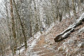 Snow In Winter In Tennessee