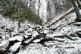 Snow In Winter In Tennessee