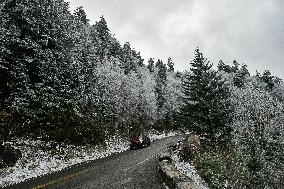 Snow In Winter In Tennessee