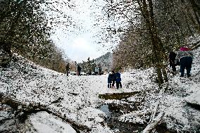 Snow In Winter In Tennessee