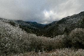 Snow In Winter In Tennessee