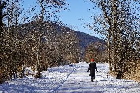 ​Everyday Life In The Bavarian Town Of Oberammergau