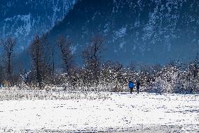 Bavarian Landscape Around Oberammergau