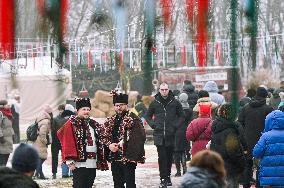 Bazaar of Good in Lviv support³ stray animals