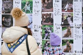 Bazaar of Good in Lviv support³ stray animals