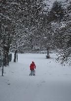 Snowfall In Linkoping