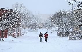 Snowfall In Linkoping