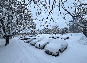 Snowfall In Linkoping