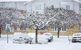 Snowfall In Linkoping