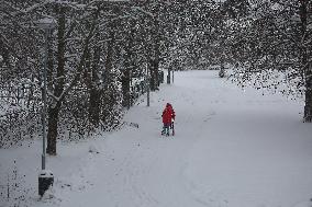 Snowfall In Linkoping