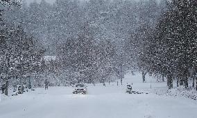 Snowfall In Linkoping