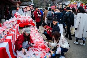 Saitama New Year Daruma Market - Japan