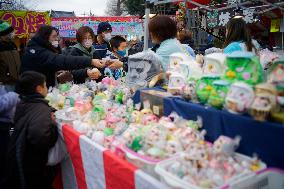 Saitama New Year Daruma Market - Japan