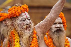 Sadhus Hindu Holy Men At Religious Procession - India