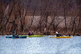 Kayakers And Canada Geese At Oxbow