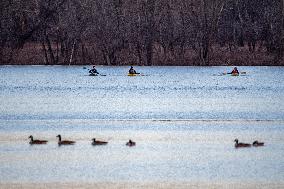 Kayakers And Canada Geese At Oxbow