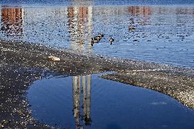 Birds on Dnipro River in Zaporizhzhia