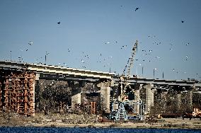 Birds on Dnipro River in Zaporizhzhia