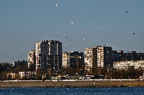 Birds on Dnipro River in Zaporizhzhia