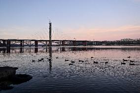 Birds on Dnipro River in Zaporizhzhia