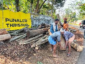 Daily Life In Kerala, India