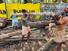 Daily Life In Kerala, India