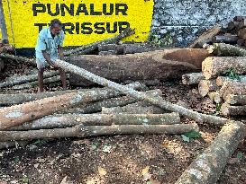 Daily Life In Kerala, India