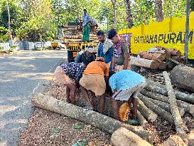 Daily Life In Kerala, India