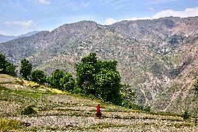 Daily Life In The Sainji Village