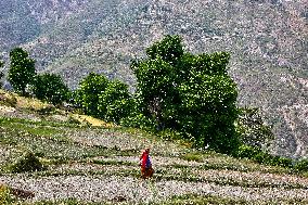 Daily Life In The Sainji Village