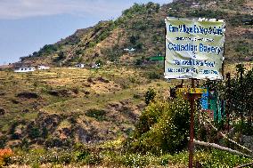 Daily Life In The Sainji Village