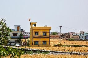 Wheat Fields In India