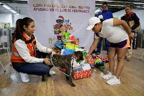 Dogs Rescued By The STCMetro Of Mexico City, Help The Three Wise Men Collect Letters From Girls And Boys