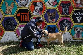 Dogs Rescued By The STCMetro Of Mexico City, Help The Three Wise Men Collect Letters From Girls And Boys