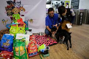 Dogs Rescued By The STCMetro Of Mexico City, Help The Three Wise Men Collect Letters From Girls And Boys