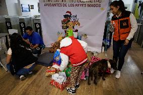 Dogs Rescued By The STCMetro Of Mexico City, Help The Three Wise Men Collect Letters From Girls And Boys